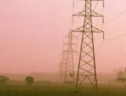 China and Indonesia Lead the Charge in Energy Minerals Market China and Indonesia Lead the Charge in Energy Minerals Market