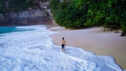 Komodo National Park: Home of the Last Dragons – A Journey into a Prehistoric World