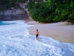 Komodo National Park: Home of the Last Dragons – A Journey into a Prehistoric World