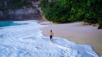 Komodo National Park: Home of the Last Dragons – A Journey into a Prehistoric World
