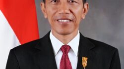 Jokowi Closes the Door to Forgiveness in the Fake Diploma Case, Only 3 Names Considered Too “Extreme”