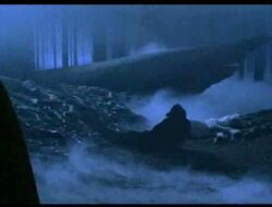 Pengumuman Terbaru tentang Adaptasi TV Harry Potter yang Diharapkan