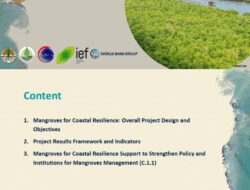 Peran Mangrove dalam Ekosistem Nasional