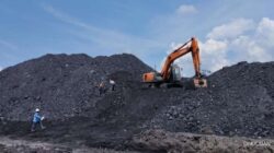 Prajogo Pangestu: Perubahan Pemilik Saham di PT Petrindo Jaya Kreasi Tbk (CUAN)