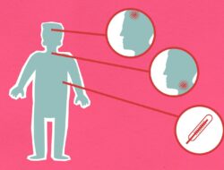 Berita Hari Ini di Indonesia: Update Terkini, Fakta Menarik, dan Analisis Mendalam untuk Anda​