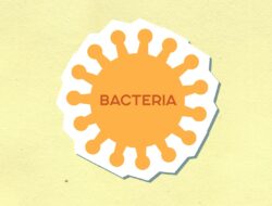 Berita Internasional Terpanas: 7 Peristiwa Global yang Wajib Anda Ketahui Hari Ini